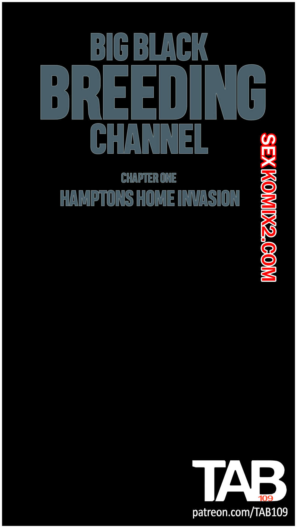Порно комикс Большой черный канал разведения. Часть 1. Big Black Breeding Channel. TAB109.